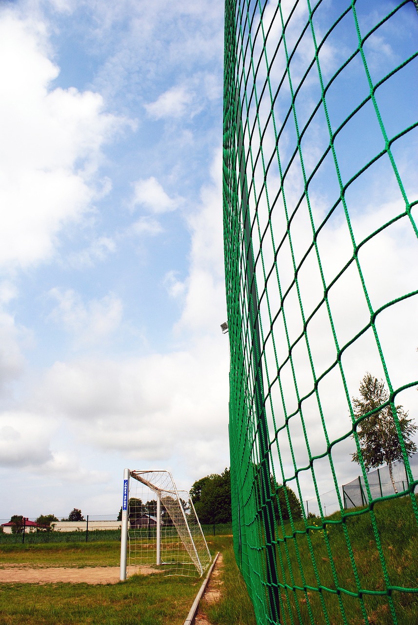 域的潜力 域的潜力