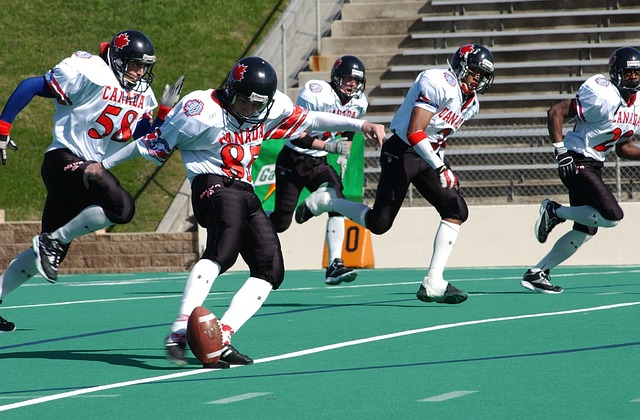 巴坎布在回 巴坎布在回