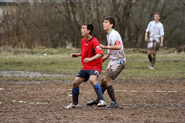 取得的成功 取得的成功