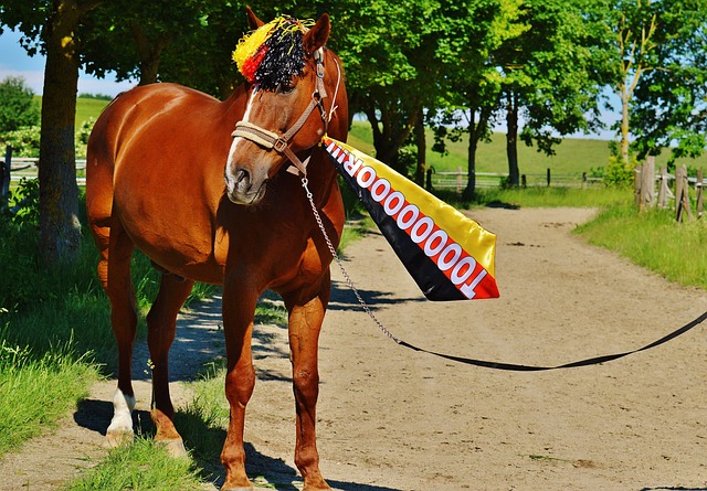 「体育·年终稿」新华社体育部评出2023年国际体育十大新闻.