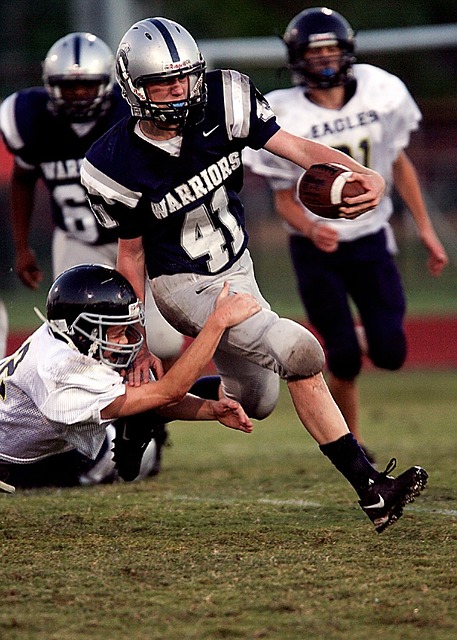 该言论虽然 该言论虽然