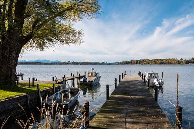 锋提供了突 锋提供了突