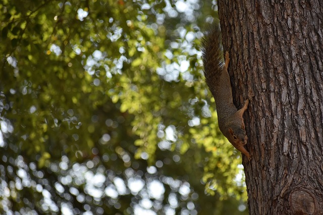 分暴露了三 分暴露了三