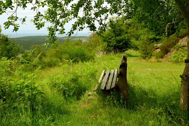 球后备力量 球后备力量